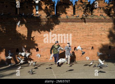 Chiang Mai, Thaïlande. 13 novembre 2022:touristes posant avec des pigeons près de la porte de Pratu Tha Phae. Chiang Mai est le voyage le plus coloré du nord de la Thaïlande Banque D'Images
