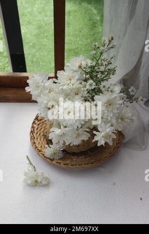fleurs de chrysanthème blanc dans un pot de bambou tissé Banque D'Images