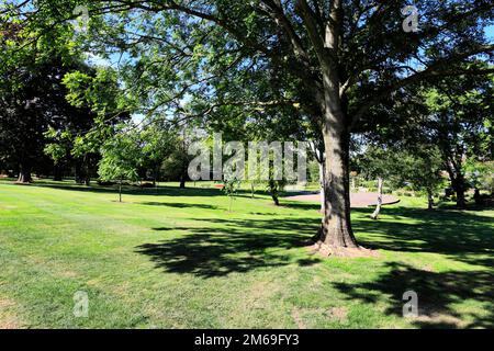 Vue sur Coronation Park, ville de Corby, Northamptonshire, Angleterre ; Grande-Bretagne ; ROYAUME-UNI Banque D'Images