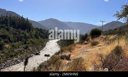 Rivière Maipo à San Jose del Maipo - Chili Banque D'Images