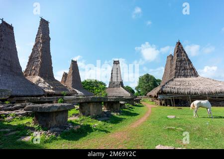 Maisons traditionnelles à Ratenggaro. Banque D'Images