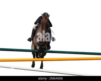 Cheval et rider sur un saut Banque D'Images