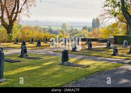 SEELOW, ALLEMAGNE, cimetière commémoratif des soldats soviétiques morts sur le site de la bataille des hauteurs de Seelow dans le cadre de l'Offensi stratégique de Berlin Banque D'Images