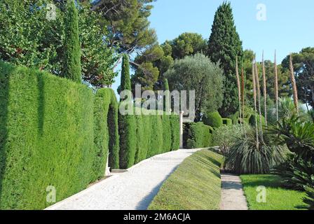 Chemin à travers le beau jardin Banque D'Images