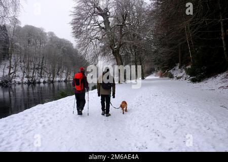 Dunkeld, Écosse, Royaume-Uni. 3rd janvier 2023. La température augmente lentement et la neige d'hiver récente commence à fondre et se transforme en neige fondante. Marcheurs sur le sentier de la rivière Tay à Dunkeld avec peu de brouillard et de bruine. Crédit : Craig Brown/Alay Live News Banque D'Images