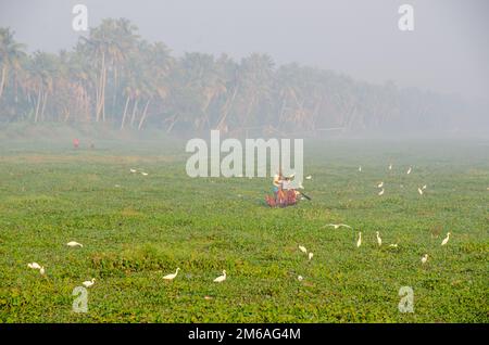 L'Inde, le Kerala et les eaux - le pays de Dieu Banque D'Images