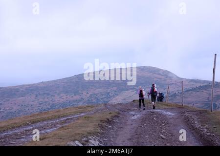 CARPATHIAN MOUNTAINS, UKRAINE - 8 OCTOBRE 2022 Mount Dragobrat. Les Carpates en Ukraine dans le brouillard jour d'automne. Les touristes se promène à travers les collines jusqu'à l'escalade jusqu'au sommet de la montagne Dragobrat Banque D'Images