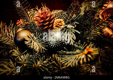 Bouquet de Noël de branches d'épinette (Picea), de pin (Pinus) et de sapin Nordmann (Abies nordmanniana) avec des cônes de pin doré (pinea), vert et doré Banque D'Images