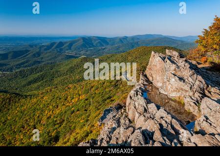 Admirez la beauté d'automne depuis Stony Man Cliffs, Shenandoah National Park Virginia USA, Virginie Banque D'Images