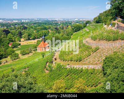 Vignoble église 'Zum Heiligen Geist', village baroque église dans les vignobles de Pillnitz dans la vallée de l'Elbe, Dresde, Saxe, Allemagne Banque D'Images