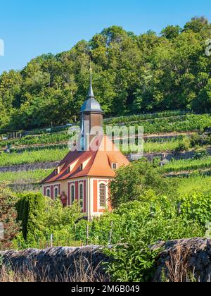 Vignoble église 'Zum Heiligen Geist', village baroque église dans les vignobles de Pillnitz dans la vallée de l'Elbe, Dresde, Saxe, Allemagne Banque D'Images