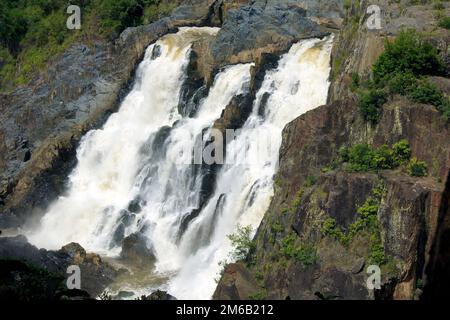 Chutes de Barron, Kuranda, Cairns, Australie Banque D'Images