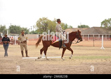 Le PFC Bryan Stapleton, Détachement de cheval, quartier général régimentaire et troupe de quartier général, 11th Armored Cavalry Regiment, manèges Fritz dans la compétition militaire d'équitation pendant la compétition régionale de cavalerie à fort Concho, San Angelo, Texas, on 21 avril 2022. L’événement teste l’habileté du cavalier à l’équitation militaire prescrite par les États-Unis Manuels de formation à la cavalerie du 1900s. Banque D'Images