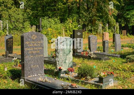 Nouvelles tombes, pierres tombales, cimetière juif, Herbert-Baum-Strasse, Weissensee, Pankow, Berlin, Allemagne Banque D'Images