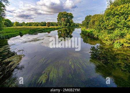 River Test à Stockbridge, Hampshire, Angleterre, Royaume-Uni Banque D'Images