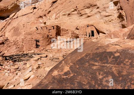 Art rupestre à Split Level Ruin. Remballage à Grand Gulch et observation des habitations Anasazi et de l'art rupestre Près de Blanding, Utah, États-Unis. Banque D'Images