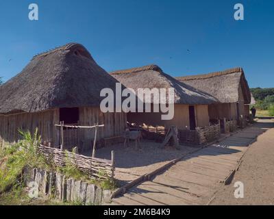 Reconstruction scientifique du village viking de Haithabu, site du patrimoine mondial de l'UNESCO, Haithabu, Busdorf près du Schleswig, Schleswig-Holstein, Allemagne Banque D'Images