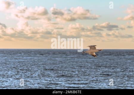 St Ives - 30 mai 2022 : ville côtière pittoresque de St Ives en Cornouailles, Angleterre. Banque D'Images