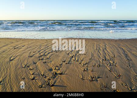 Petits cailloux sur la plage sous la lumière de l'après-midi, un fond intéressant de la texture de sable créée par le vent, l'eau et les ombres Banque D'Images