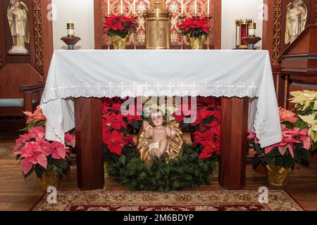 Bébé Jésus et des poinsettias rouges et blancs autour de l'autel à Saint Joseph's Catholic Church le matin de Noël à Taylors Falls, Minnesota, États-Unis. Banque D'Images