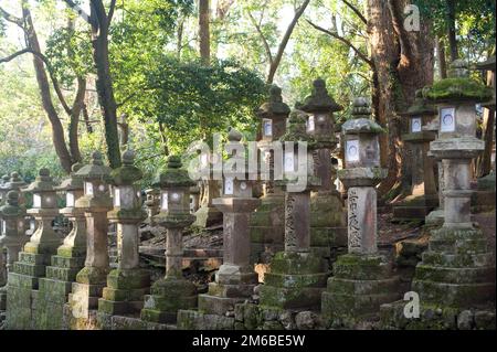 Rangées de lanternes Kasuga Taisha Banque D'Images