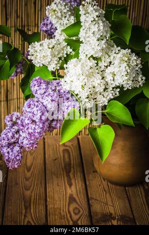 Avec la nature morte un bouquet de lilas, Close up Banque D'Images