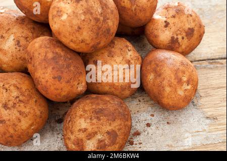 Pommes fraîches entières fraîchement récolté Banque D'Images