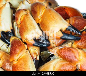 Tas de pinces de crabe orange bouilli Banque D'Images