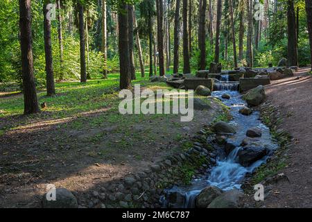 Dans la forêt il y a un ruisseau dans le creux entre les pierres Banque D'Images