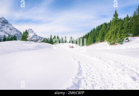 Route à travers la neige fraîche dans les montagnes Banque D'Images