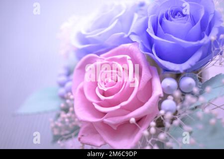 Un cadeau de Preservrd Flower and Clay Flower Arrangement, Blue and Pink Roses Banque D'Images