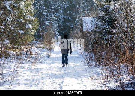 Un homme marche sur un sentier naturel enneigé à travers la Premer Moor. Prem, Weilheim-Schongau, haute-Bavière, Bavière, Allemagne Banque D'Images