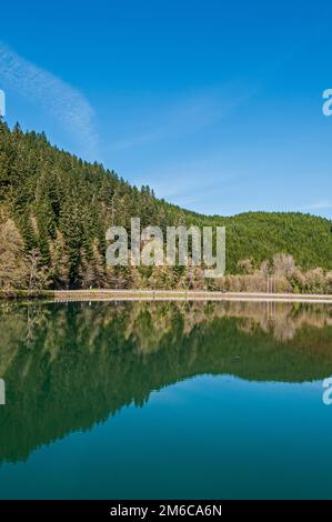 Réservoir créé par le barrage de Leaburg et l'écloserie de poissons à Vida près du pont couvert près de Springfield, Oregon. Banque D'Images