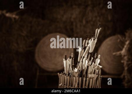 Quinquiété des flèches devant les cibles de paille Banque D'Images