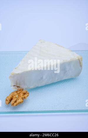 Collection de fromages, fromage français brie de Meaux de la région Seine-et-Marne avec moule blanc en gros plan Banque D'Images