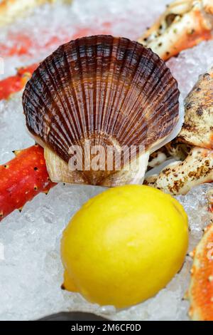 Plateau avec beaucoup de type de fruits de mer Banque D'Images