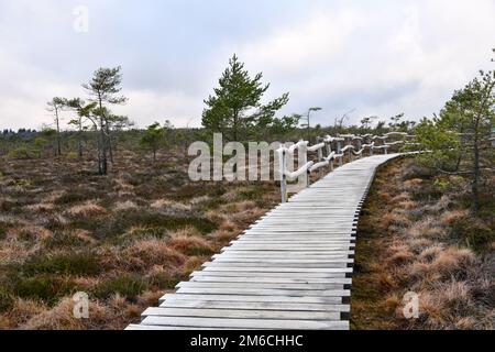 La lande noire dans le Rhön bavarois Banque D'Images