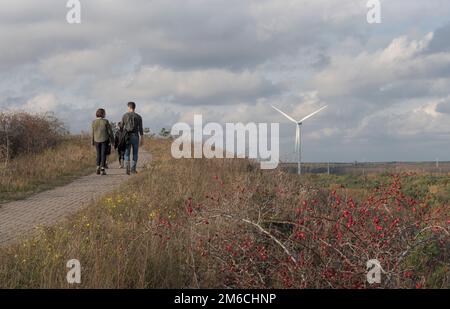 Genk. Limbourg - Belgique 10-11-2020. Paysage d'automne. Randonnée en famille dans la campagne montagneuse Banque D'Images