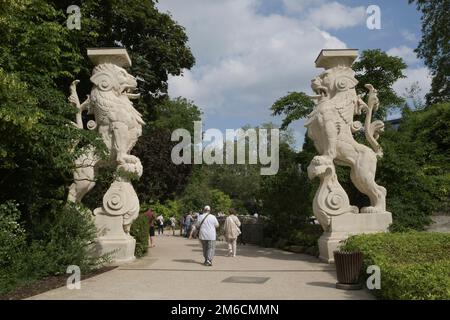 Anvers. Région flamande. Belgique - 20.06.2021. Zoo d'Anvers accès à la région avec de grands prédateurs Banque D'Images