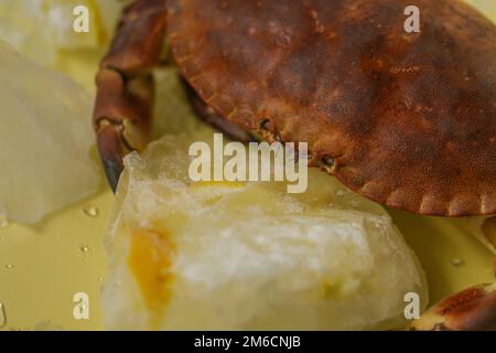 Cuisson des crabes et des fruits de mer. Crabe bouilli gros plan et citrons dans la glace sur fond jaune.crabe avec glace.Source de protéines alimentaires Banque D'Images