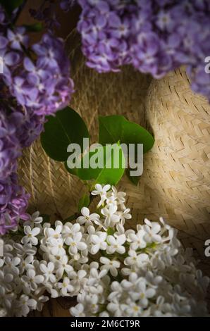 La nature morte avec un bouquet de lilas et d'un chapeau de paille, close-up Banque D'Images