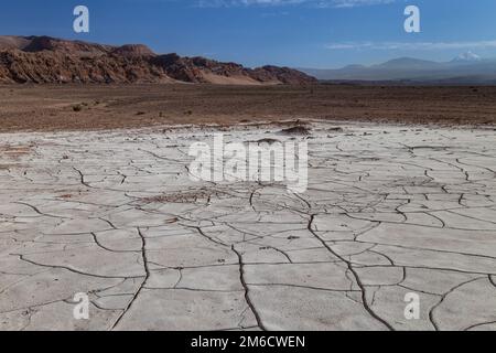 Terre fissurée recouverte de sel séché. Valle de la Luna, désert d'Atacama, Chili Banque D'Images