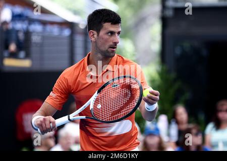 Adélaïde, le 3 janvier 2023. Novak Djokovic, de Serbie, sert le ballon lors du match international de tennis d'Adélaïde entre Novak Djokovic, de Serbie, et constant Lestienne, de France, à Memorial Drive sur 03 janvier 2023, à Adélaïde, en Australie. Crédit : Peter Mundy/Speed Media/Alay Live News Banque D'Images