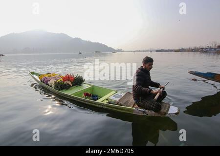 Srinagar, Inde. 02nd janvier 2023. Un boatman délague son bateau chargé de fleurs fraîches pendant une journée froide d'hiver à Srinagar. Crédit : SOPA Images Limited/Alamy Live News Banque D'Images