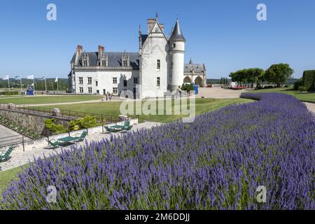 Europe France la Résidence royale d'Amboise : 2018 Banque D'Images