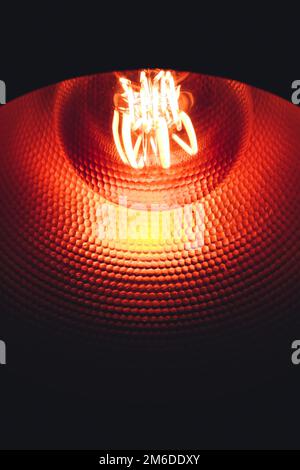 L'intérieur de l'ampoule de la lampe de cuivre. Banque D'Images