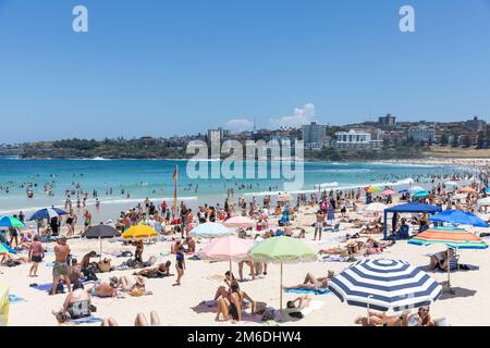 Bondi Beach Sydney été 2023, vue sud vers Bondi Icebergs de plage bondée et congestionnée, Sydney, Nouvelle-Galles du Sud, Australie côte est Banque D'Images