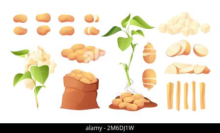 Pommes de terre en tranches. Caricature hachée rondelles pelées entières frites frites croustilles culture tubéreuse, produits de légumes mûrs sains. Illustration de la collection isolée vectorielle de pommes de terre mûres, légumes hachés Illustration de Vecteur