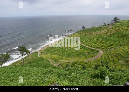 Shiroyone Senmaida Rice Terraces - une colline pittoresque de rizières le long de la péninsule de Noto, dans la préfecture d'Ishikawa, au Japon. Les rizières étaient des Banque D'Images