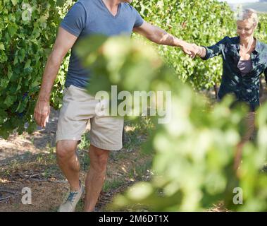 Ils font tout ensemble. Un heureux couple mature qui se promonne ensemble dans un vignoble. Banque D'Images